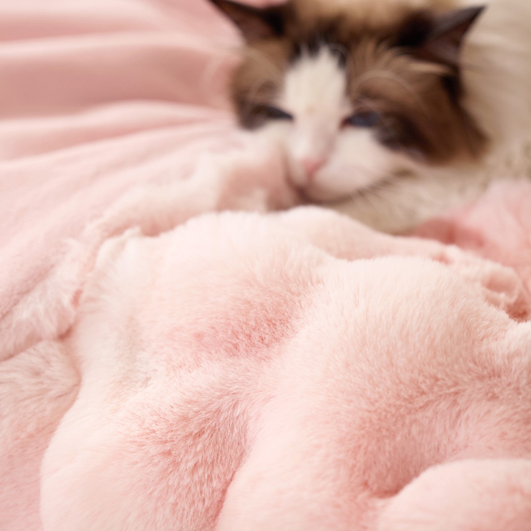 Bubble Faux Fur Blanket - Image 15