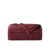 burgundy-red